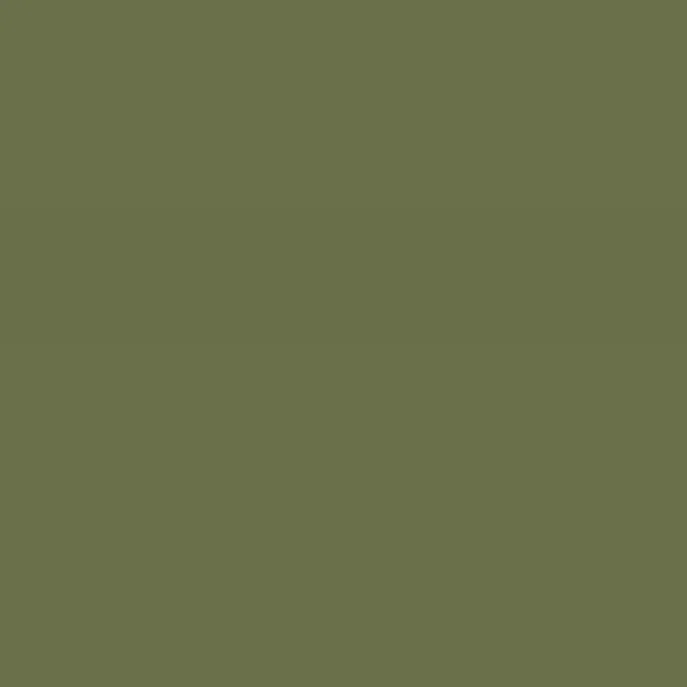 Caparol Amphisil Fassadenfarbe Jade 95