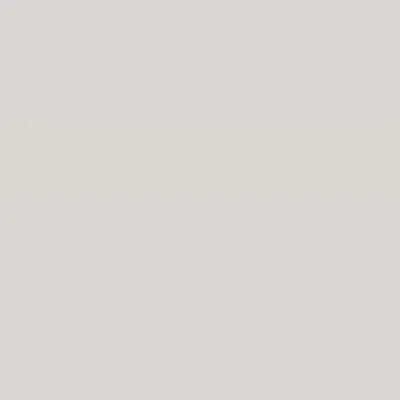 Caparol Indeko Plus Kiesel 16 Wandfarbe Innenfarbe
