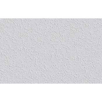 Erfurt Vlies Rauhfaser 40 PRO Erfurt Vlies Rauhfaser 40 PRO