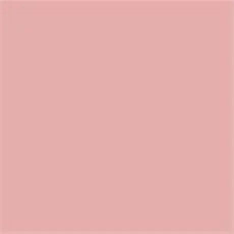 Caparol Acryllack Capacryl PU Gloss glänzend RAL 3015 Hellrosa