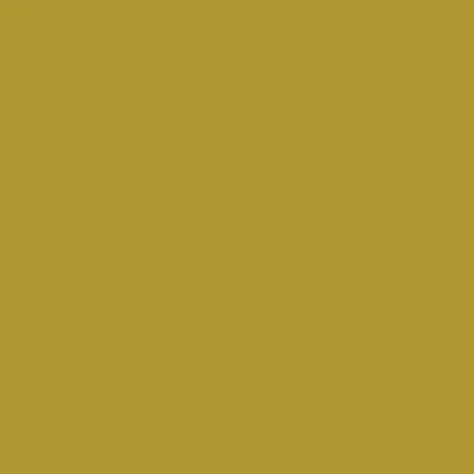 Curry 95 Farbkarte