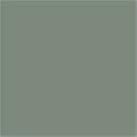 Caparol Acryllack Capacryl PU Matt RAL 7005 Mausgrau