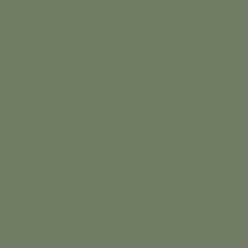 Caparol Amphisil Fassadenfarbe Oase 45