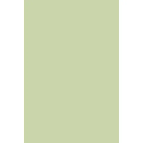 Indeko Plus in Farrow & Ball Cooking Apple Green (32) Wandfarbe Innenfarbe