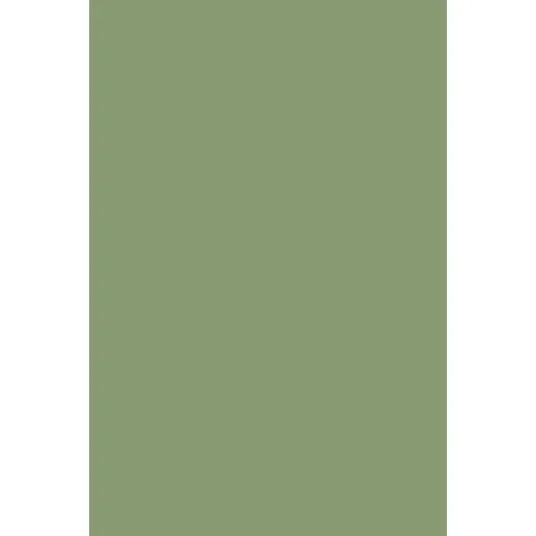 Indeko Plus in Farrow & Ball Yeabridge Green (287) Wandfarbe Innenfarbe