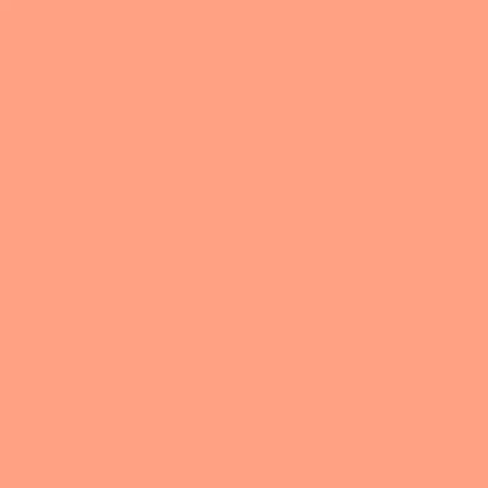 Lachs 120 Farbkarte
