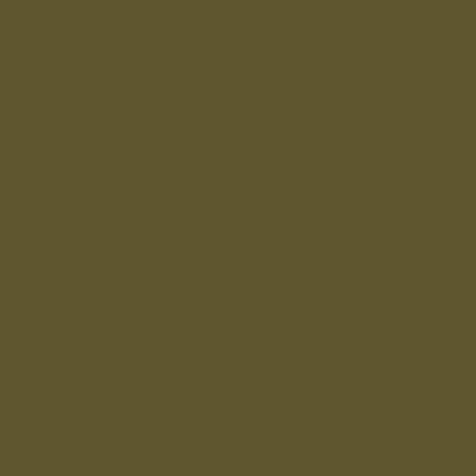Caparol Amphisil Fassadenfarbe Citrus 5