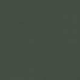 Indeko Plus in Farrow & Ball Minster Green (224) Wandfarbe Innenfarbe