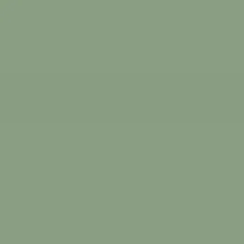 Caparol Amphisil Fassadenfarbe Agave 65