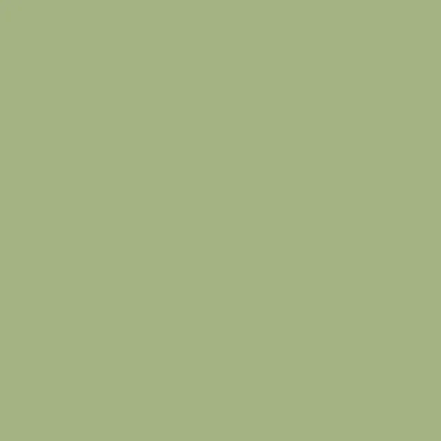 Caparol Indeko Plus Amazonas 13 Wandfarbe Innenfarbe Caparol Indeko Plus Amazonas 13 Wandfarbe Innenfarbe