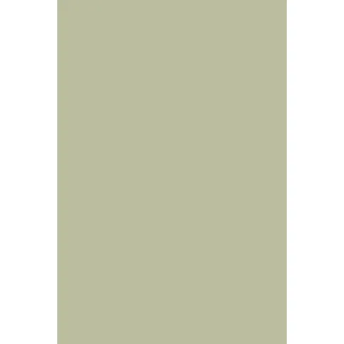 Indeko Plus in Farrow & Ball Vert De Terre (234) Wandfarbe Innenfarbe