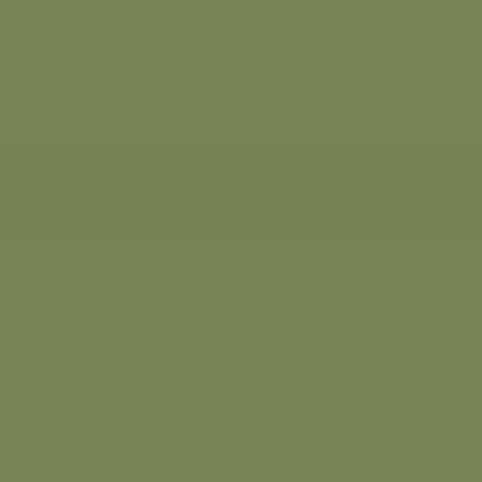 Caparol Amphisil Fassadenfarbe Pinie 40