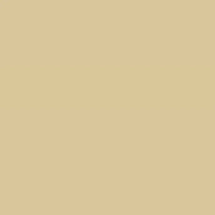 Caparol Amphisil Fassadenfarbe Curry 45