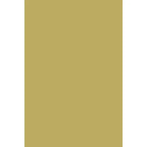 Indeko Plus in Farrow & Ball Churlish Green (251) Wandfarbe Innenfarbe