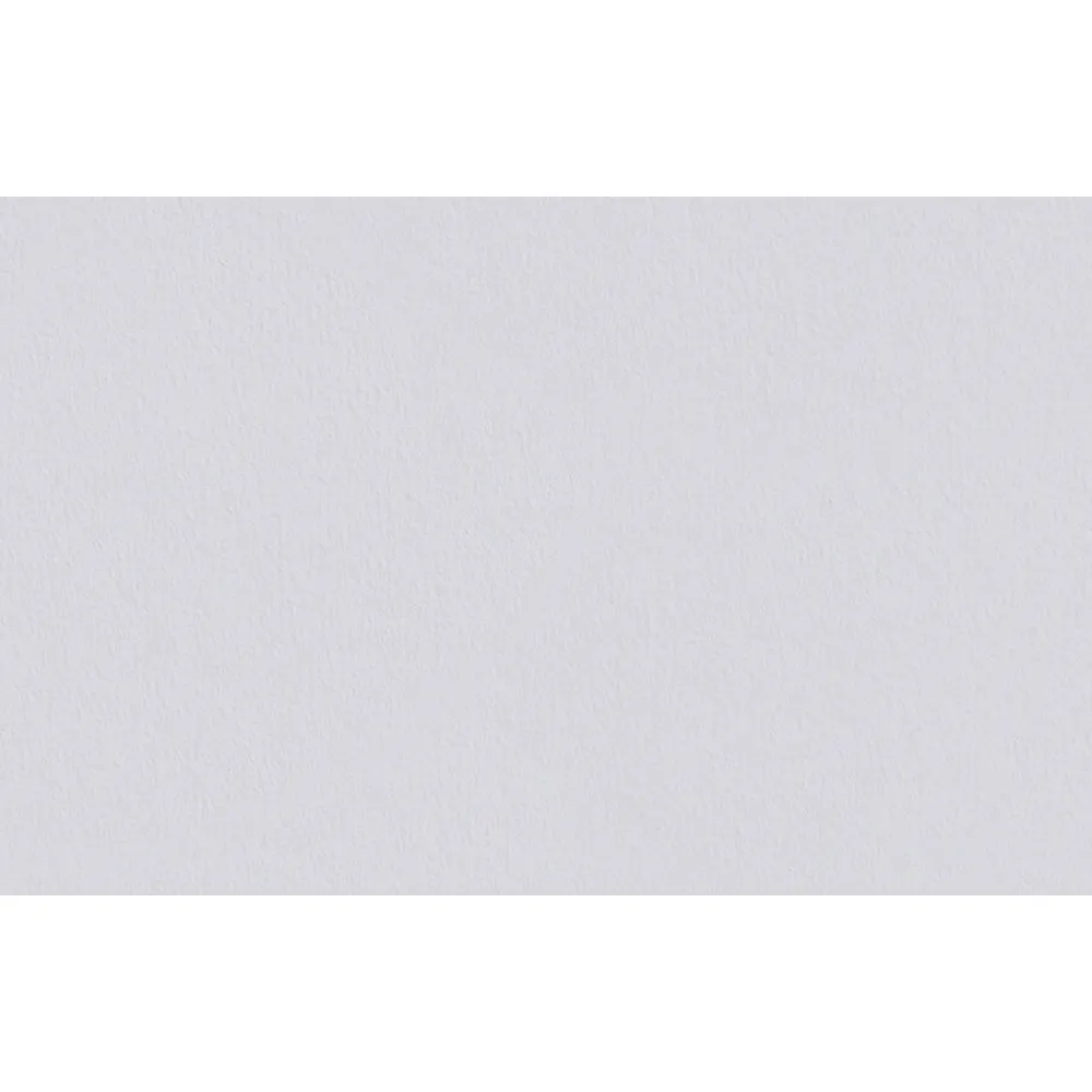 Erfurt Vliestapete Variovlies R 300 PRO Erfurt Vliestapete Variovlies R 300 PRO