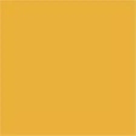 Caparol Capadur Color Wetterschutzfarbe NQG RAL 1037 Sonnengelb