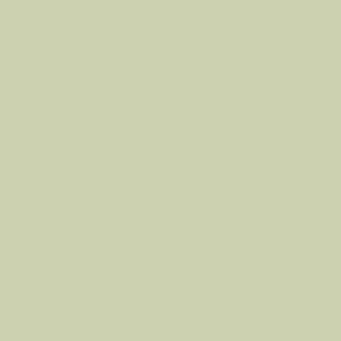 Caparol Amphisil Fassadenfarbe Jade 80