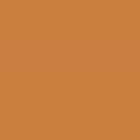 Farbkarte Caparol Cognac 0