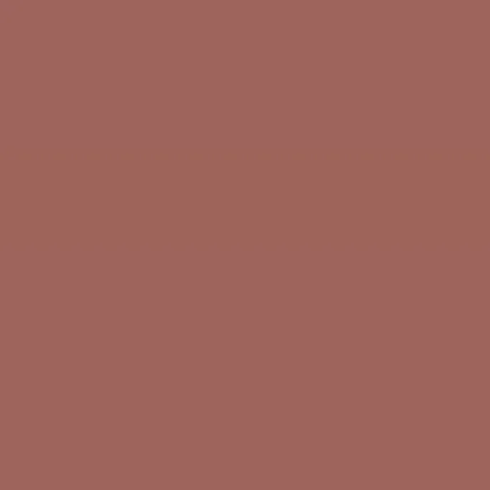 Caparol Amphisil Fassadenfarbe Bordeaux 40