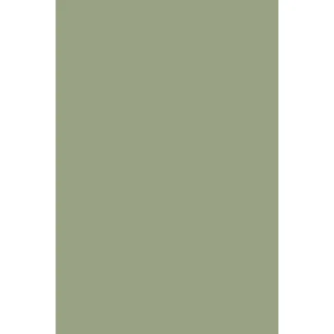 Indeko Plus in Farrow & Ball Lichen (19) Wandfarbe Innenfarbe