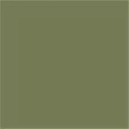 Caparol Capadur Color Wetterschutzfarbe NQG RAL 6013 Schilfgrün