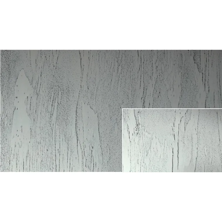 Caparol Calcino Romantico Betonoptik Rustico 15kg