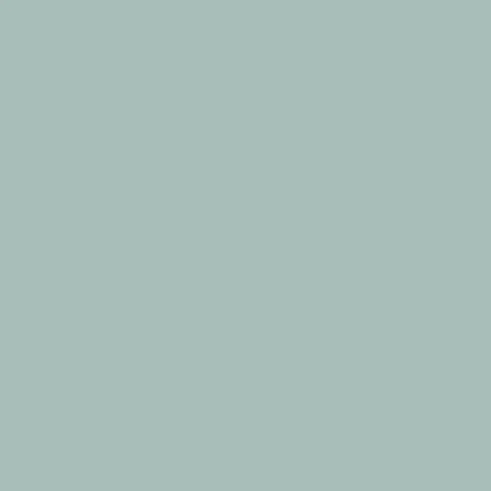 Caparol Amphisil Fassadenfarbe Patina 55