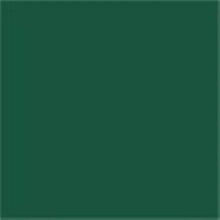 Caparol Capadur Color Wetterschutzfarbe NQG RAL 6005 Moosgrün