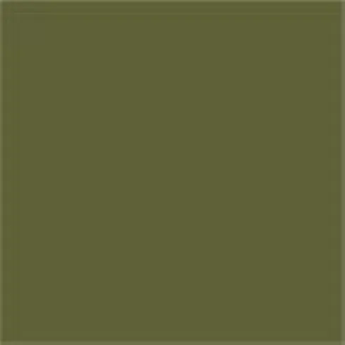 Caparol Capadur Color Wetterschutzfarbe NQG RAL 6007 Flaschengrün