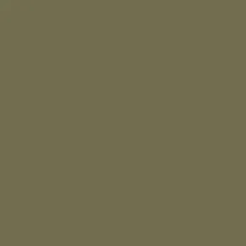 Caparol Capadur Color Wetterschutzfarbe NQG Umbragrün H 507