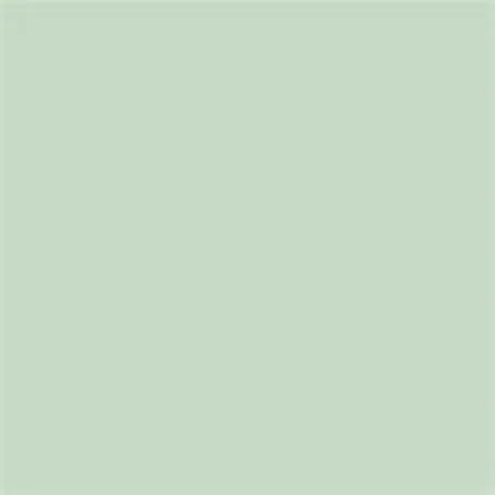 Caparol Capadur Color Wetterschutzfarbe NQG RAL 6019 Weißgrün