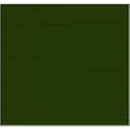 Dupli Color Sprühlack Acryl RAL 6031 bronzegrün Dupli Color Sprühlack Acryl RAL 6031 bronzegrün
