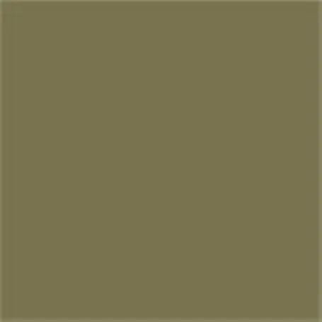 Caparol Capadur Color Wetterschutzfarbe NQG RAL 6003 Olivgrün