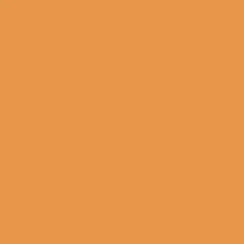 Caparol Indeko Plus Aprikose 12 Wandfarbe Innenfarbe Caparol Indeko Plus Aprikose 12 Wandfarbe Innenfarbe