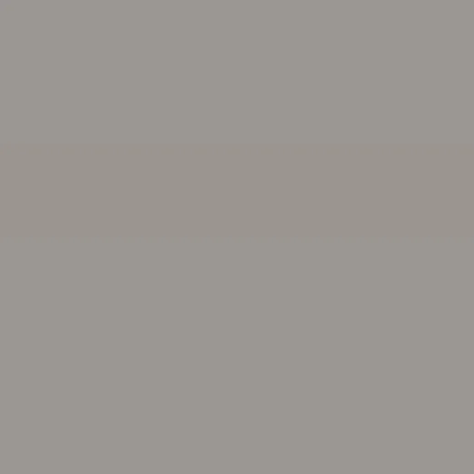 Caparol Indeko Plus Ferro 35 Wandfarbe Innenfarbe