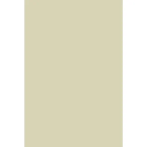 Indeko Plus in Farrow & Ball Bone (15) Wandfarbe Innenfarbe