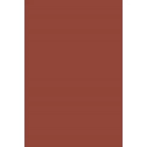Indeko Plus in Farrow & Ball Picture Gallery Red (42) Wandfarbe Innenfarbe