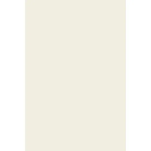 Indeko Plus in Farrow & Ball Strong White (2001) Wandfarbe Innenfarbe