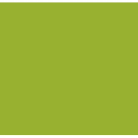 Caparol Indeko Plus Limette 0 Wandfarbe Innenfarbe