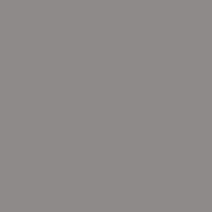 Caparol Amphisil Fassadenfarbe Granit 30
