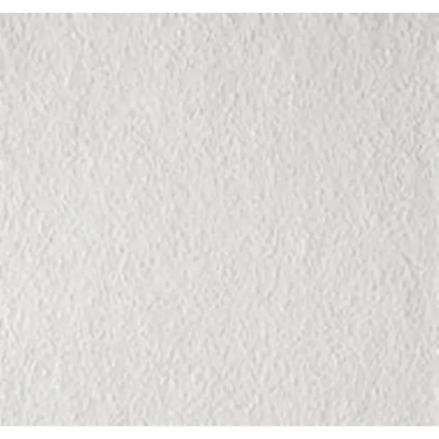 Erfurt Rauhfaser 40 PRO Erfurt Rauhfaser 40 PRO