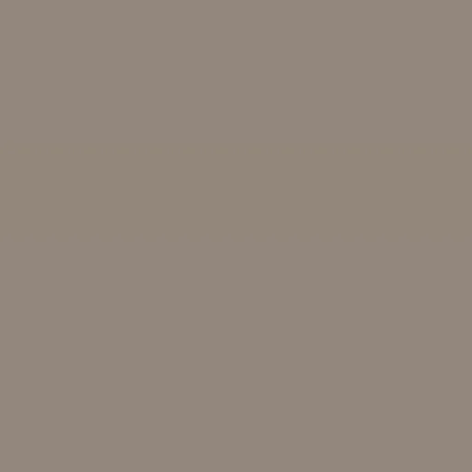 Caparol Amphisil Fassadenfarbe Onyx 40