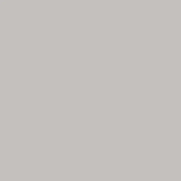 Caparol Amphisil Fassadenfarbe Granit 50