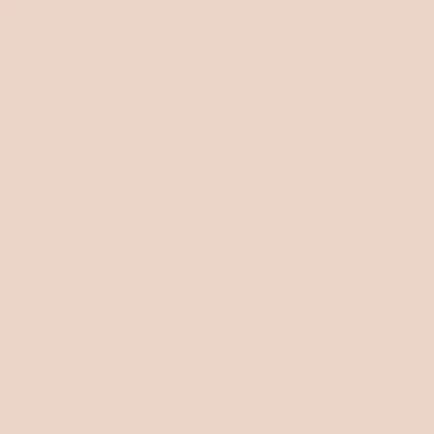 Caparol Indeko Plus Marone 16 Wandfarbe Innenfarbe
