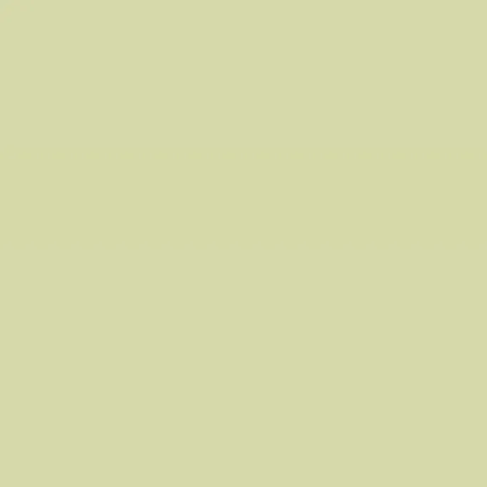 Caparol Amphisil Fassadenfarbe Jade 110