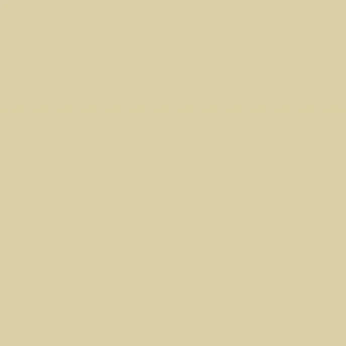 Caparol Amphisil Fassadenfarbe Citrus 55