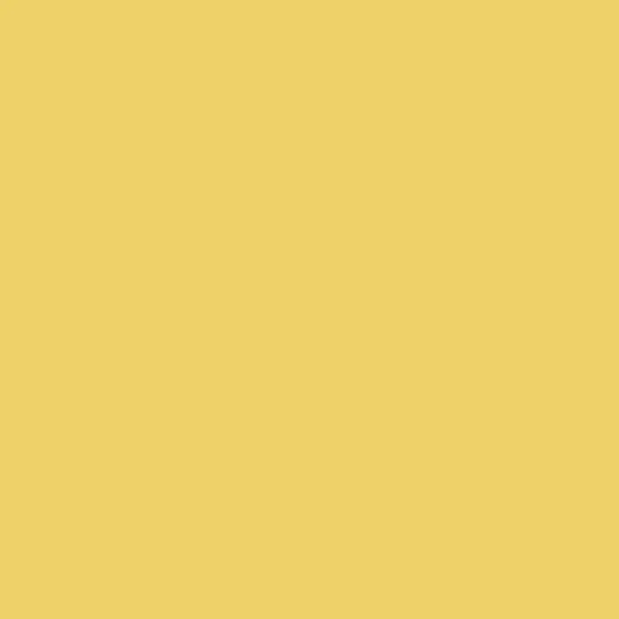 Caparol Amphisil Fassadenfarbe Curry 135