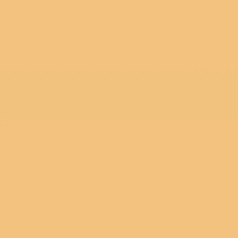 Farbkarte Caparol Cognac 13