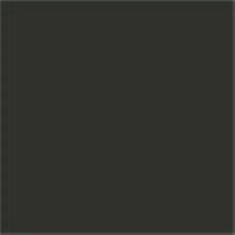 Caparol Capadur Color Wetterschutzfarbe NQG RAL 6012 Schwarzgrün