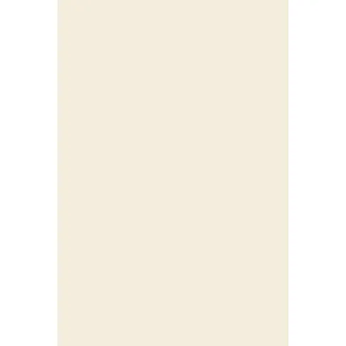 Indeko Plus in Farrow & Ball White Tie (2002) Wandfarbe Innenfarbe